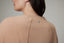 Seamed Cropped Sweatshirt
